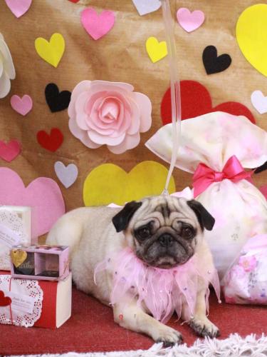 20230224くりこちゃん